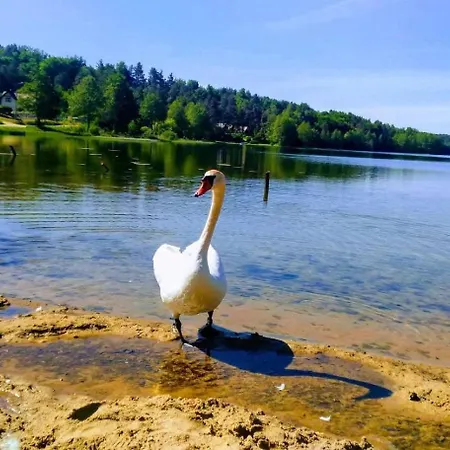 Uroczy Golubie ,niedaleko Stoku Koszalkowo ,balia,sauna,kominek,ognisko * Sikorzyno