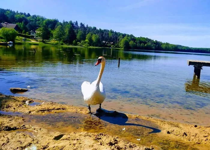 Uroczy Golubie ,niedaleko Stoku Koszalkowo ,balia,sauna,kominek,ognisko * Sikorzyno